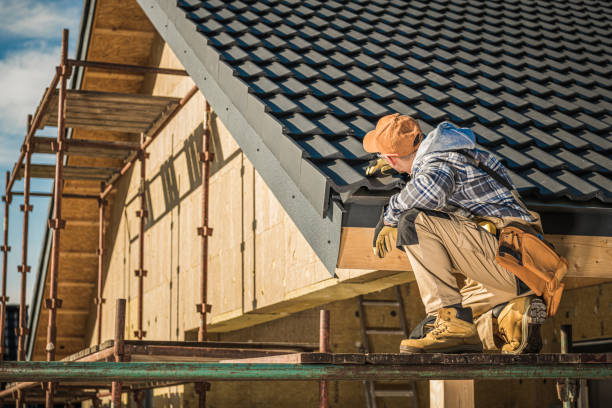 Best Gutter Replacement  in Hampton, TN