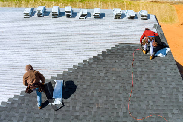 Best Roof Insulation Installation  in Hampton, TN